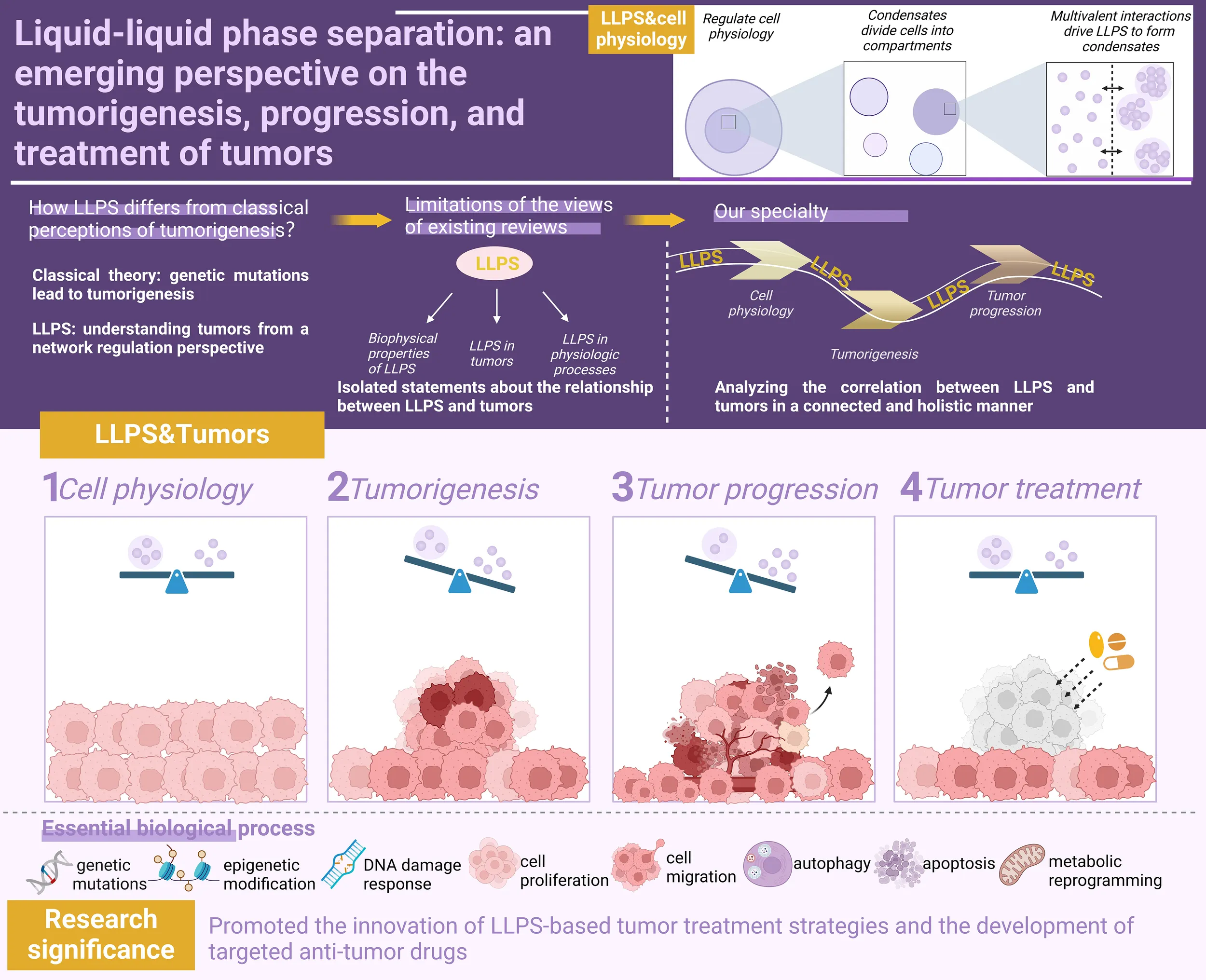 Frontiers | Liquid-liquid phase separation: an emerging