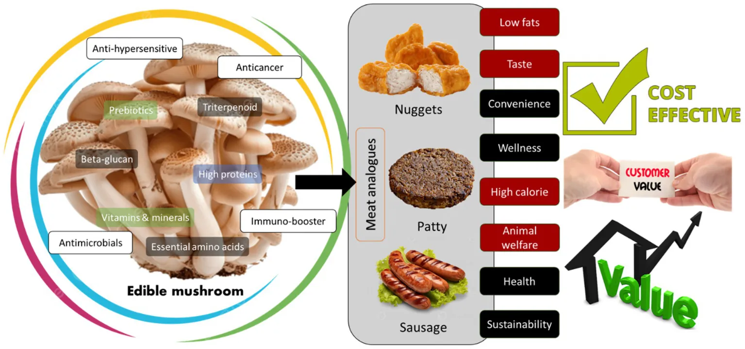 Mushroom Water Activity And Moisture Content: Keys to Proper Storage 
