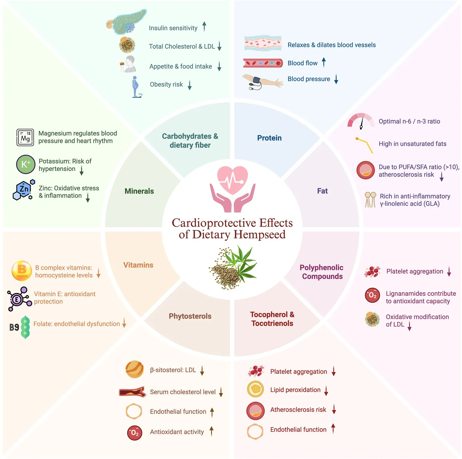 Frontiers | Dietary hempseed and cardiovascular health