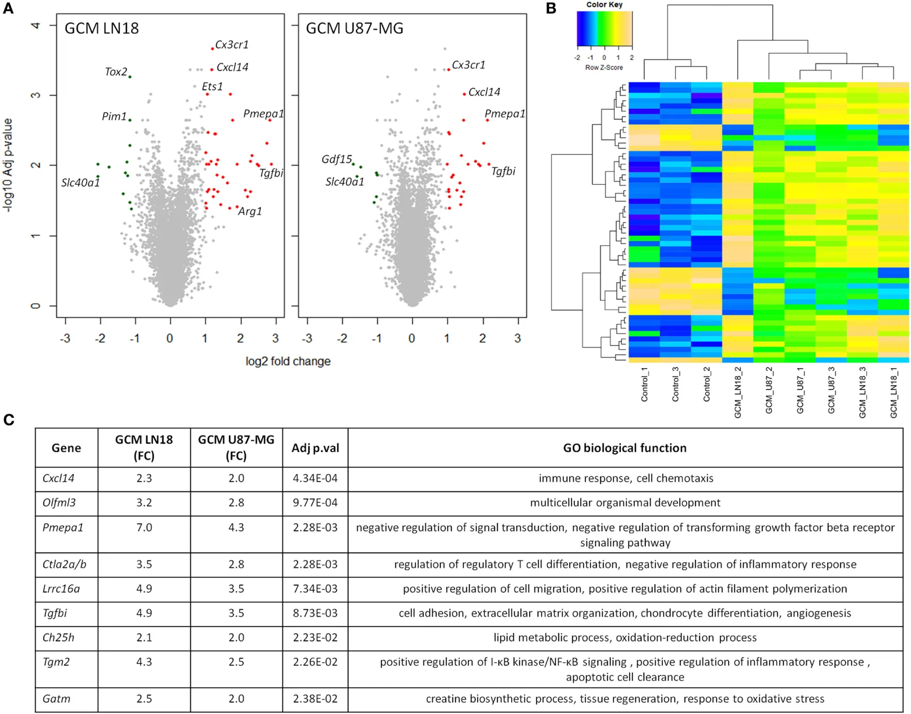 Figure from the Frontiers in Immunology paper