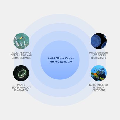 Infographic showing applications of the global ocean genome including studying marine biodiversity, inspiring biotechnology, and monitoring pollution and climate change