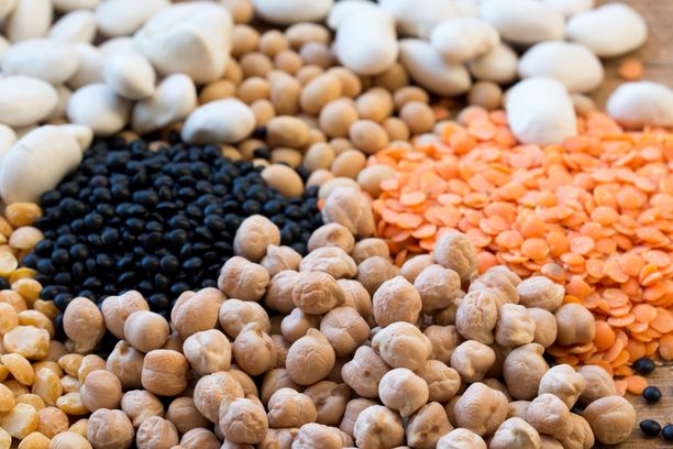 selection of legumes many spacies closeup selective focus
