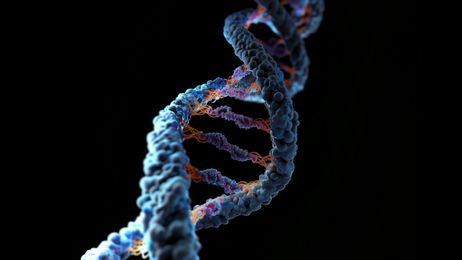 3D illustration of a DNA helix