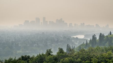 Photo of a forested area overlooking a smoggy cityscape