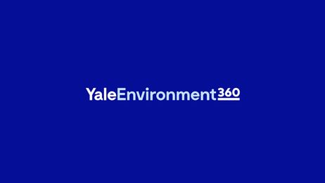 YaleEnvironment 360 logo
