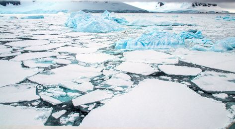Ice Sheets Off the Coast of Antarctica
