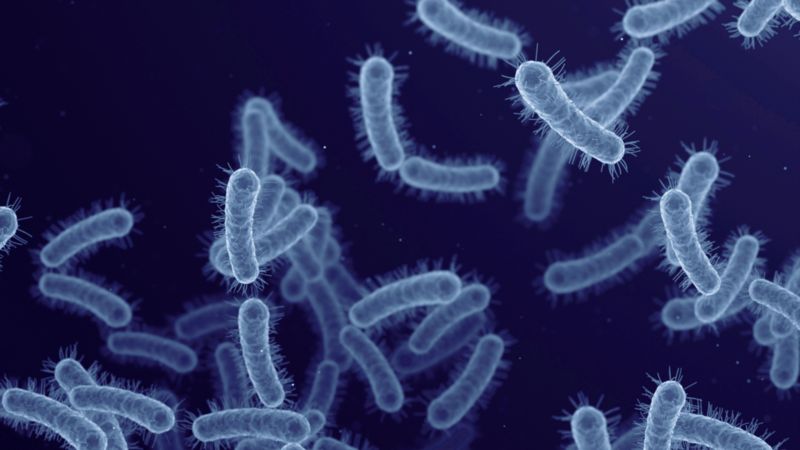 3D illustration of bacteria