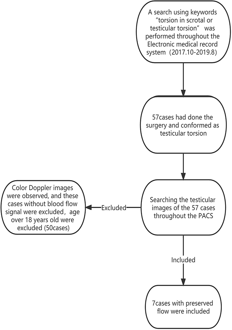 Frontiers | The diagnostic value of ultrasound in pediatric