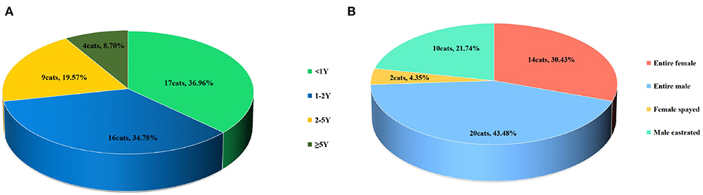 Frontiers | Effect of GS-441524 in combination with the 3C