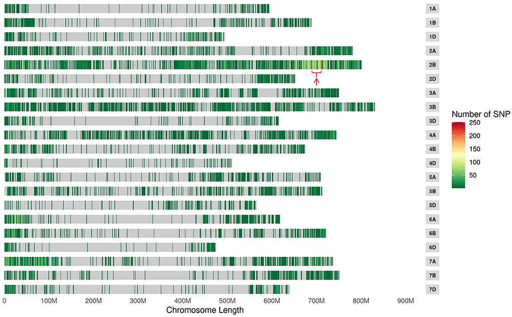 Frontiers | Identification of the powdery mildew resistance