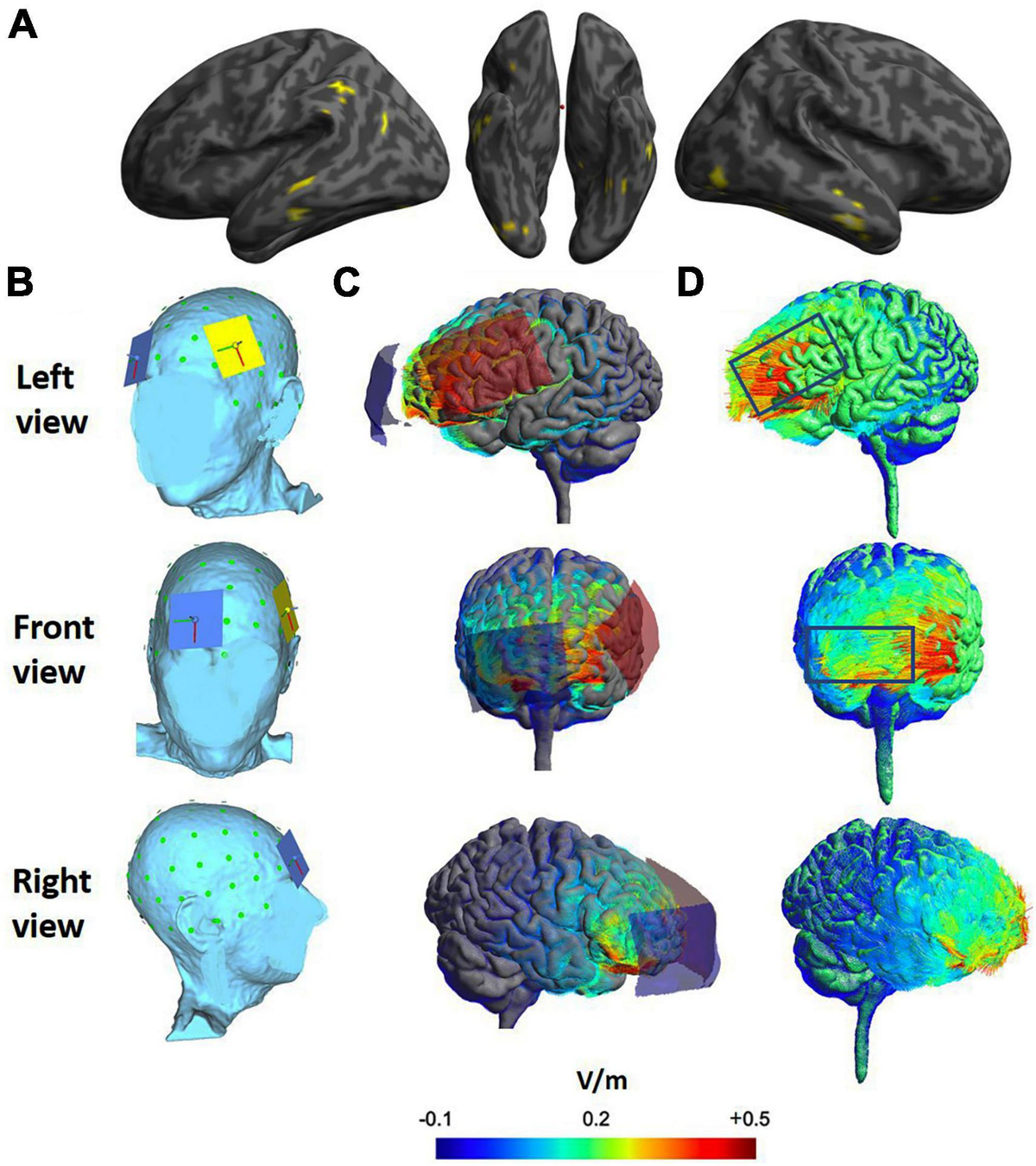 構音障害　Clinical Voice Disorders Clinical Voice Disorders: 9781588906625: Medicine & Health