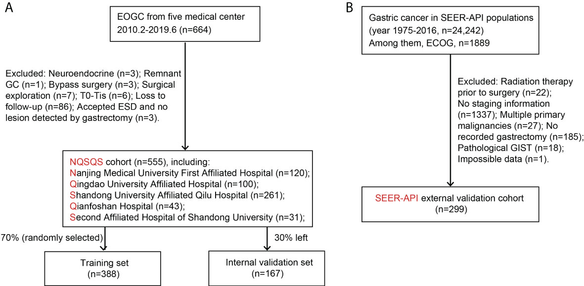 Frontiers | Multi‑institutional development and validation