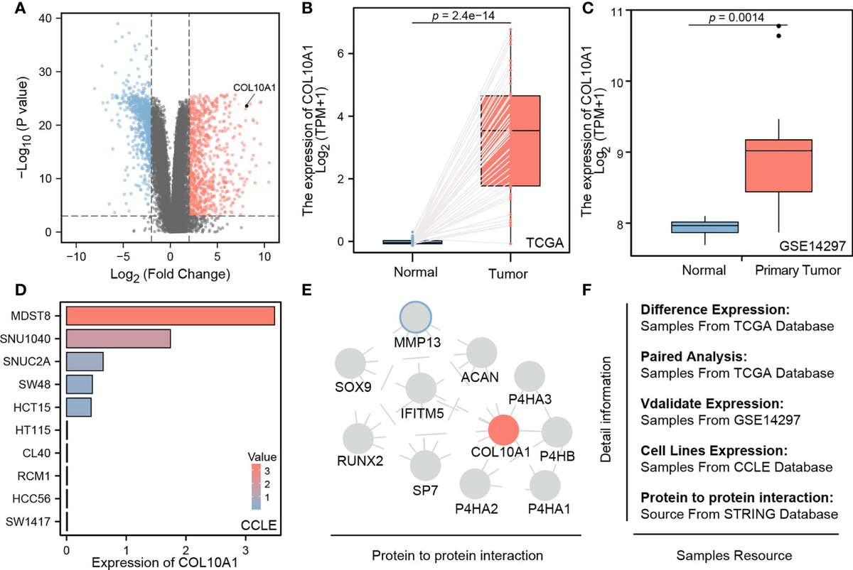 Frontiers | COL10A1 allows stratification of invasiveness of
