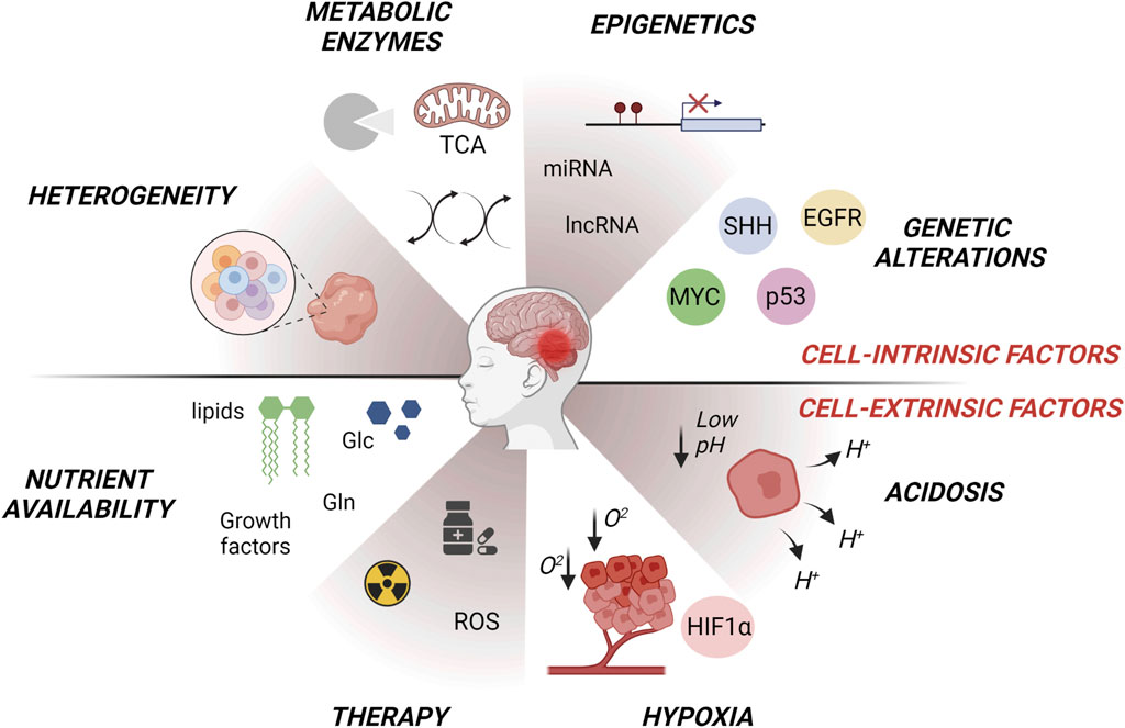 Pathological implications of metabolic reprogramming   Frontiers 