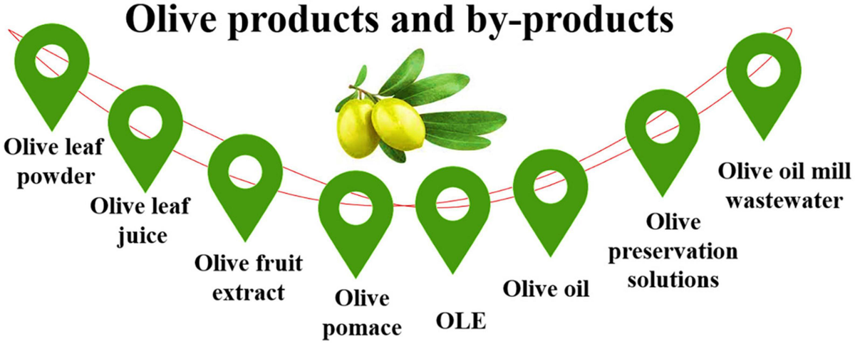 Olive juice benefits store