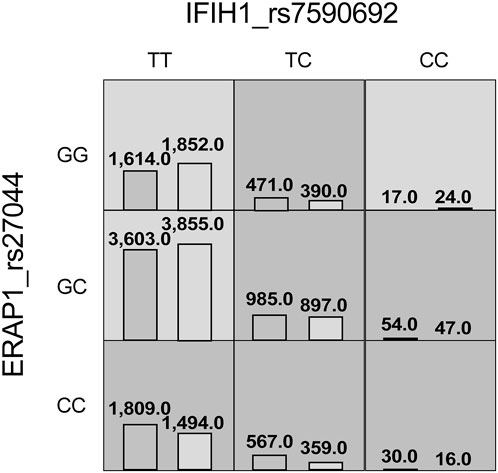 fgene-13-1009589-g001.jpg