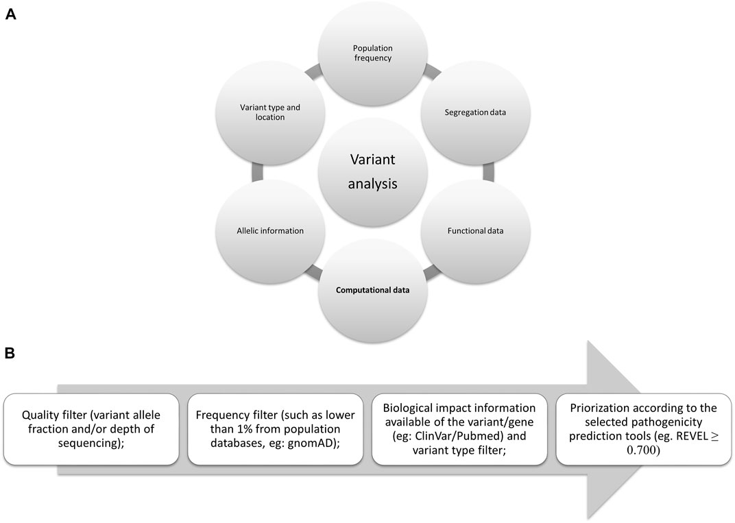 Frontiers | Insights on variant analysis in silico tools for 
