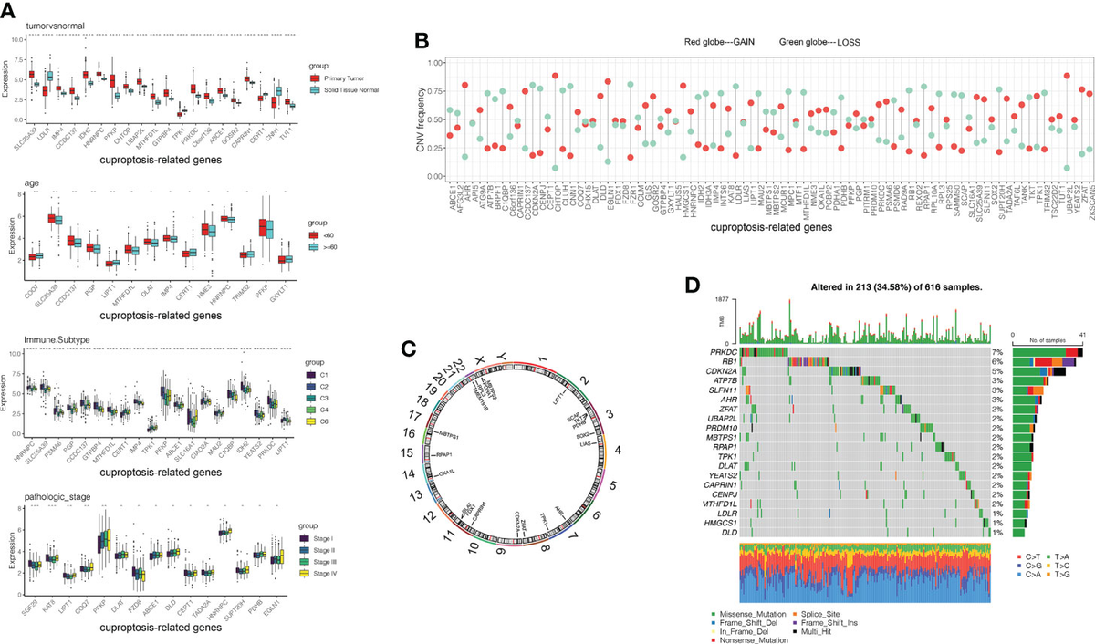 Frontiers | The characterization of tumor microenvironment