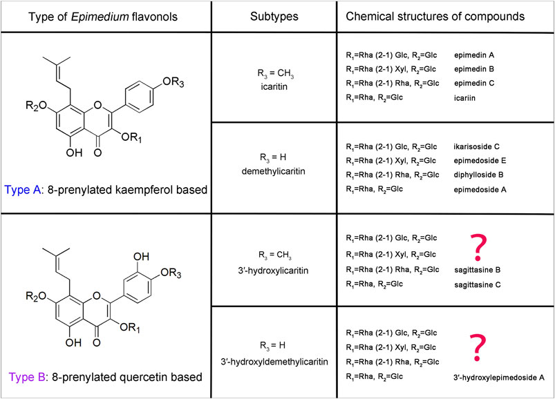 Frontiers | New 8-prenylated quercetin glycosides from the