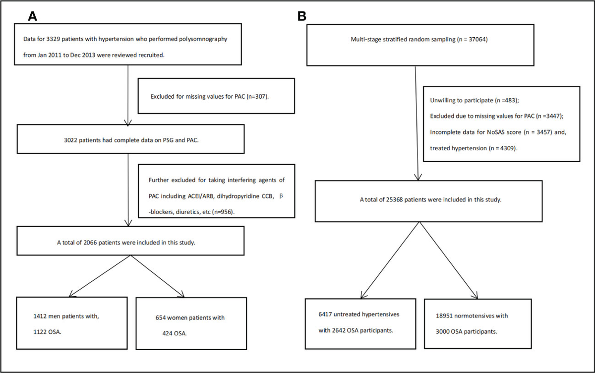 Frontiers | Association of objective and subjective