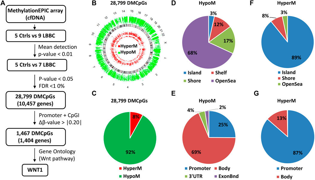 洋書 DNA Methylation Protocols DNA Methylation Protocols | SpringerLink