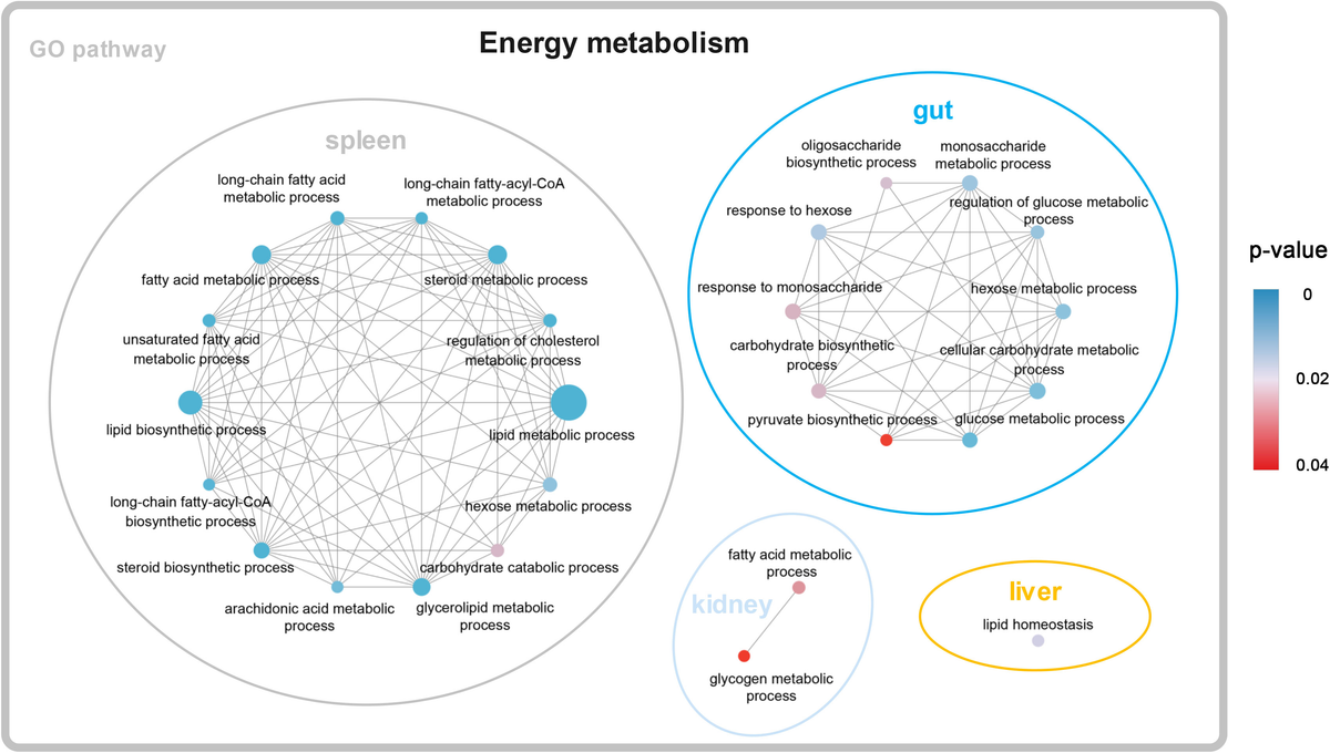 at Comparative RNA-Sequencing Analysis Reveals High Complexity