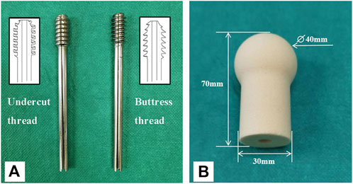Frontiers | Biomechanical comparison of the undercut thread design ...