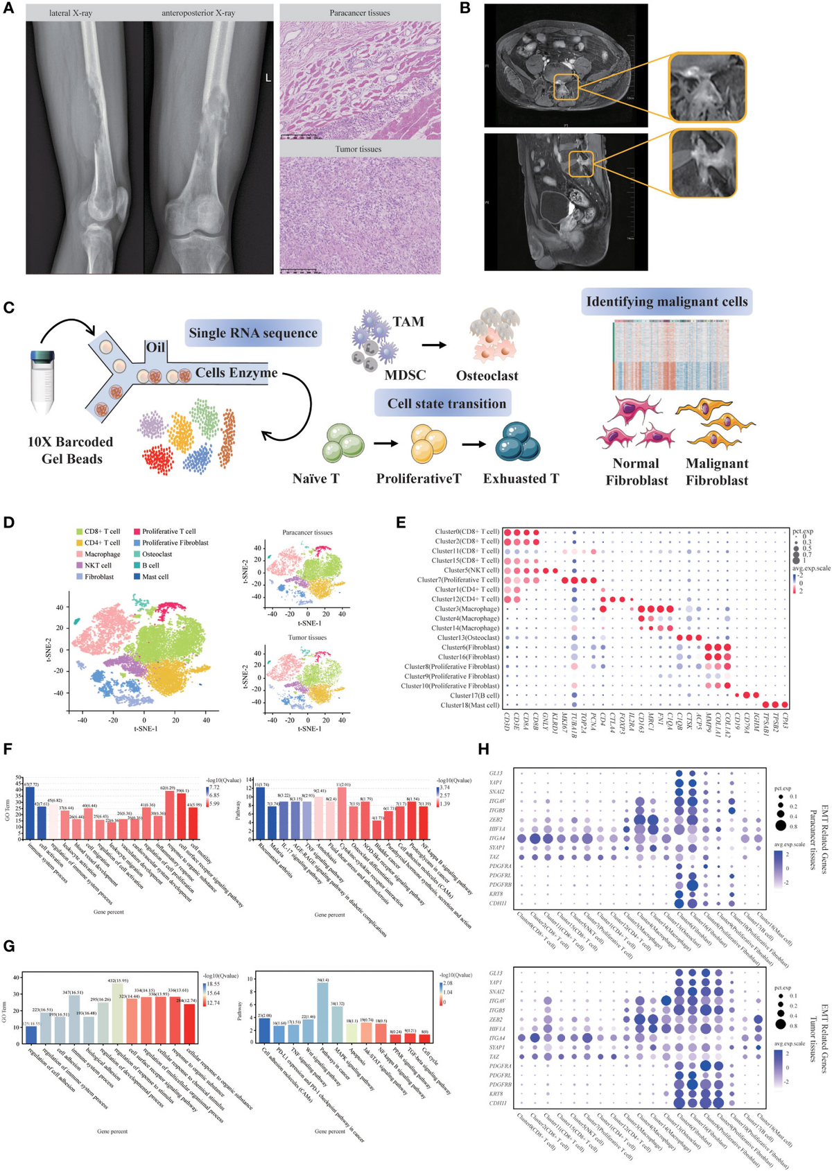 福袋 バースデイ sequencing Single-cell | Frontiers reveals of landscape the その他