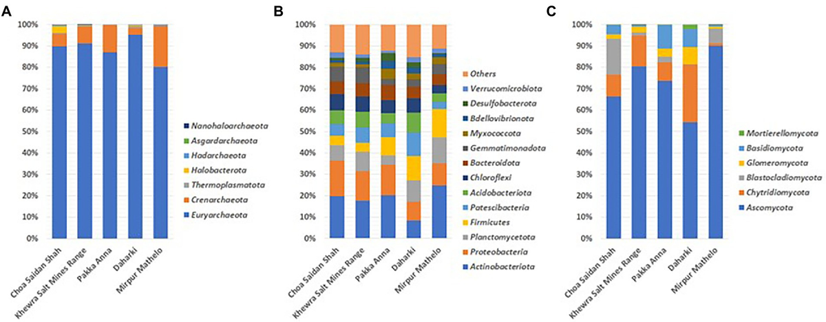 A-ine Produce様 Modelling the Functions of Polo-Like Kinases in Mice and