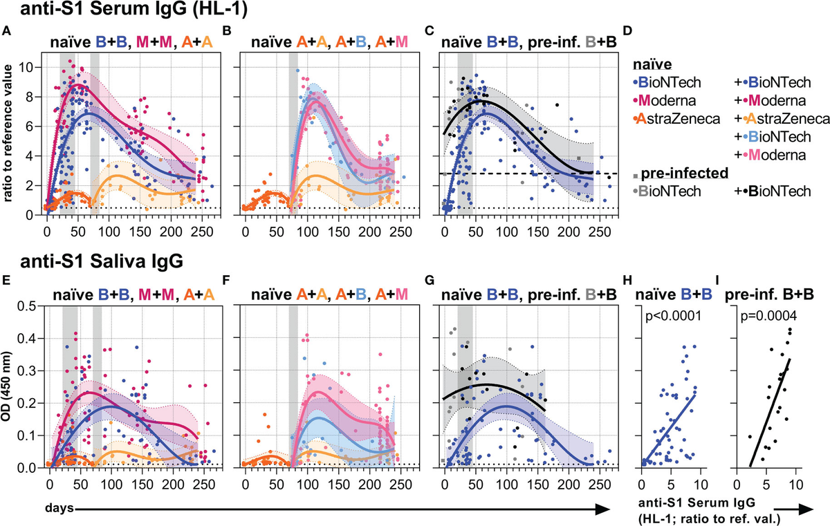 Frontiers | mRNA vaccines against SARS-CoV-2 induce comparably low long-term IgG Fc galactosylation and sialylation levels but increasing long-term IgG4 responses compared to an adenovirus-based...