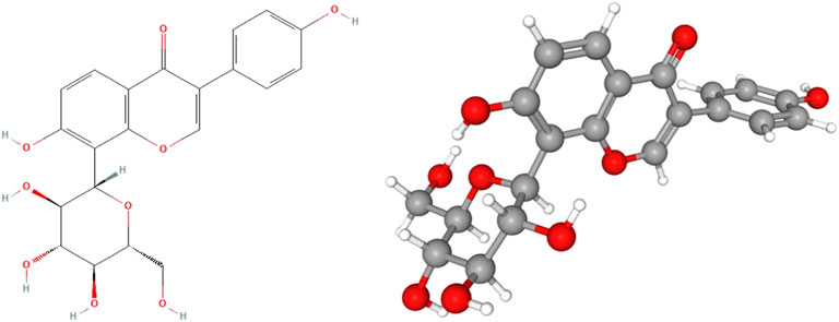 Frontiers | Protective effects and mechanism of puerarin