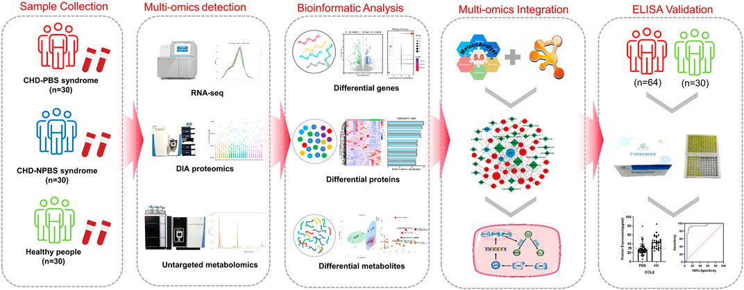 Frontiers | Exploring the “gene–protein–metabolite” network