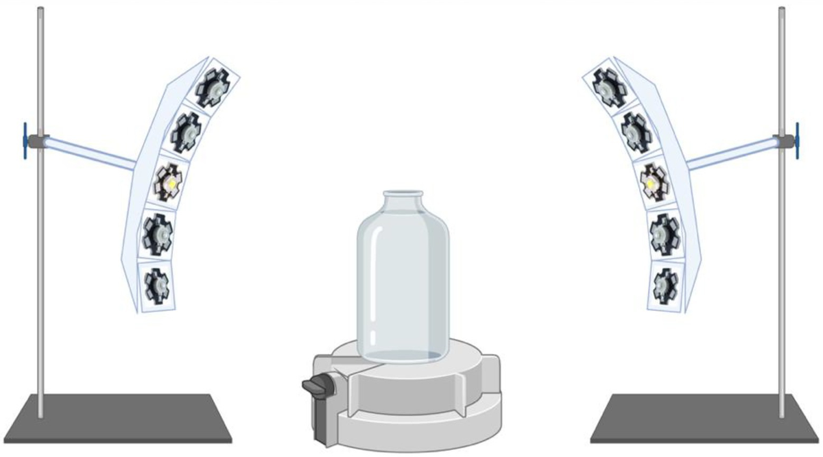 Frontiers | Photoinhibition of comammox reaction in Nitrospira