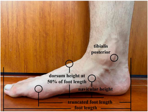 Hip forums barefoot hot sale