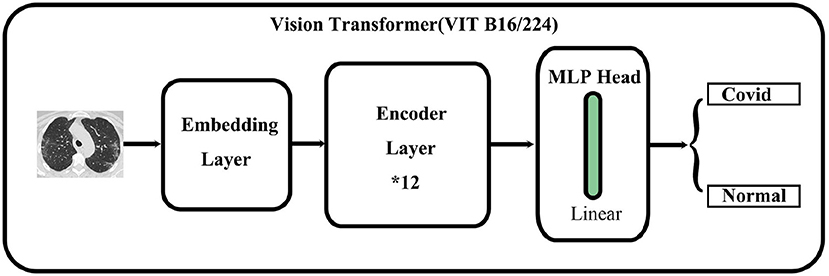 Frontiers | A deep ensemble learning-based automated detection of COVID ...