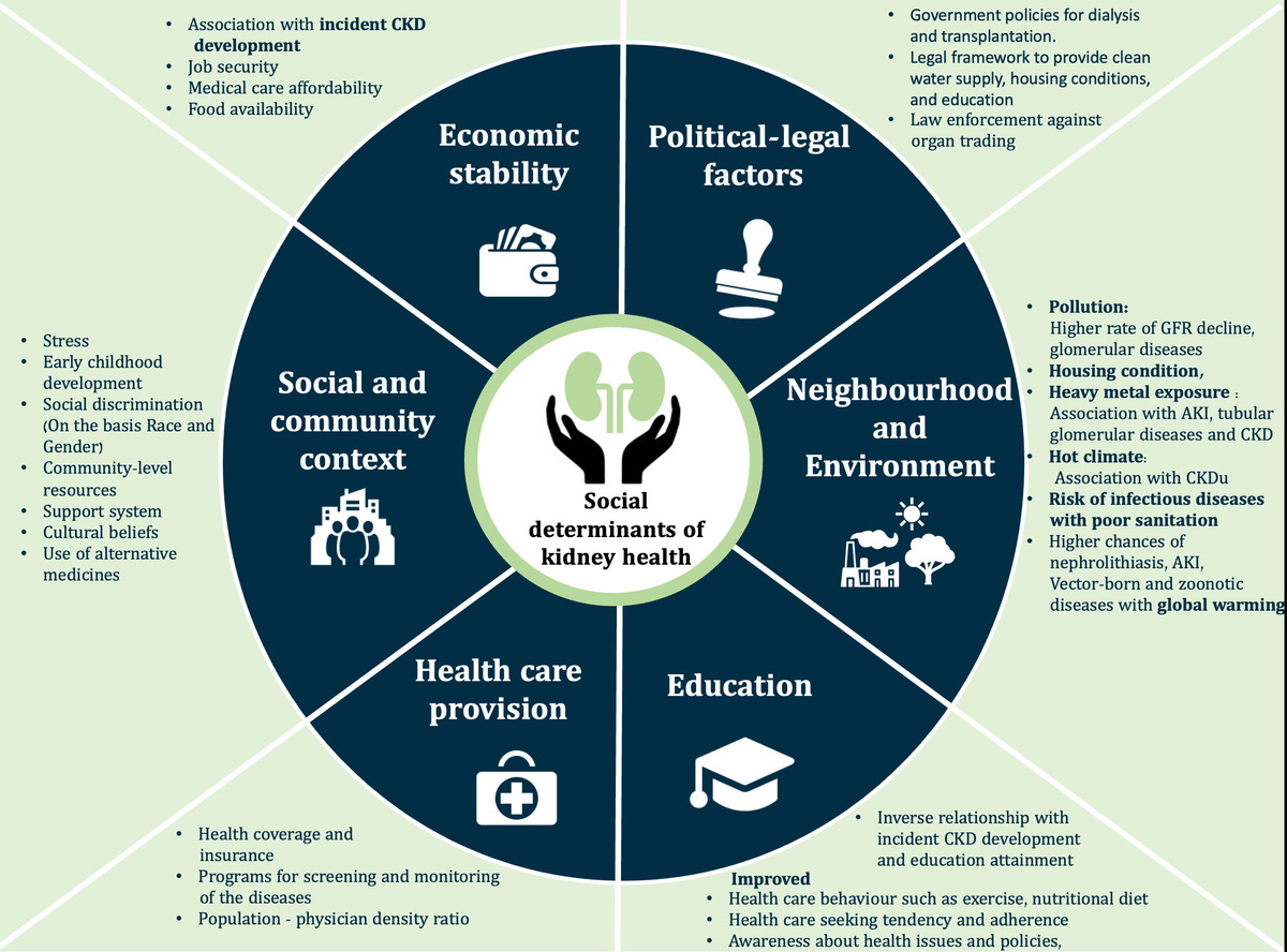 Frontiers | Social, political and legal determinants of kidney health: Perspectives from lower