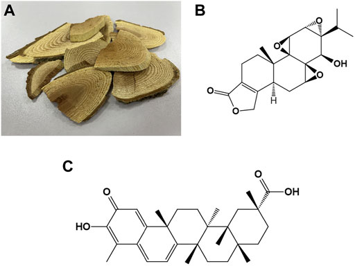 Frontiers | The therapeutic potential of triptolide and
