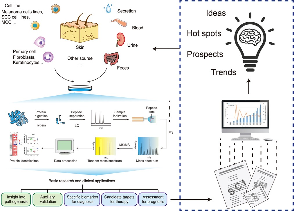 Frontiers | Proteomics as a tool to improve novel insights