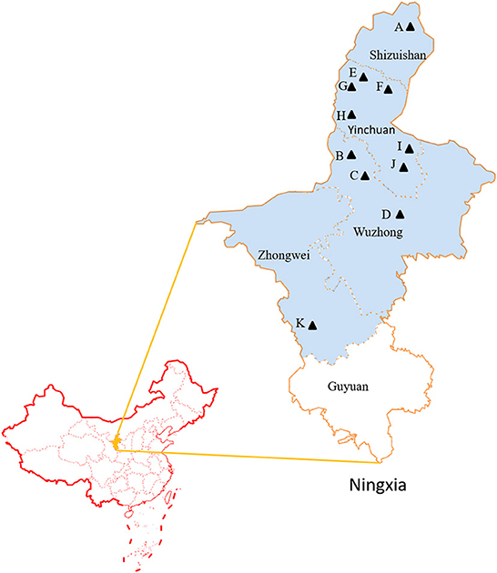 Frontiers | Development and application of an indirect ELISA