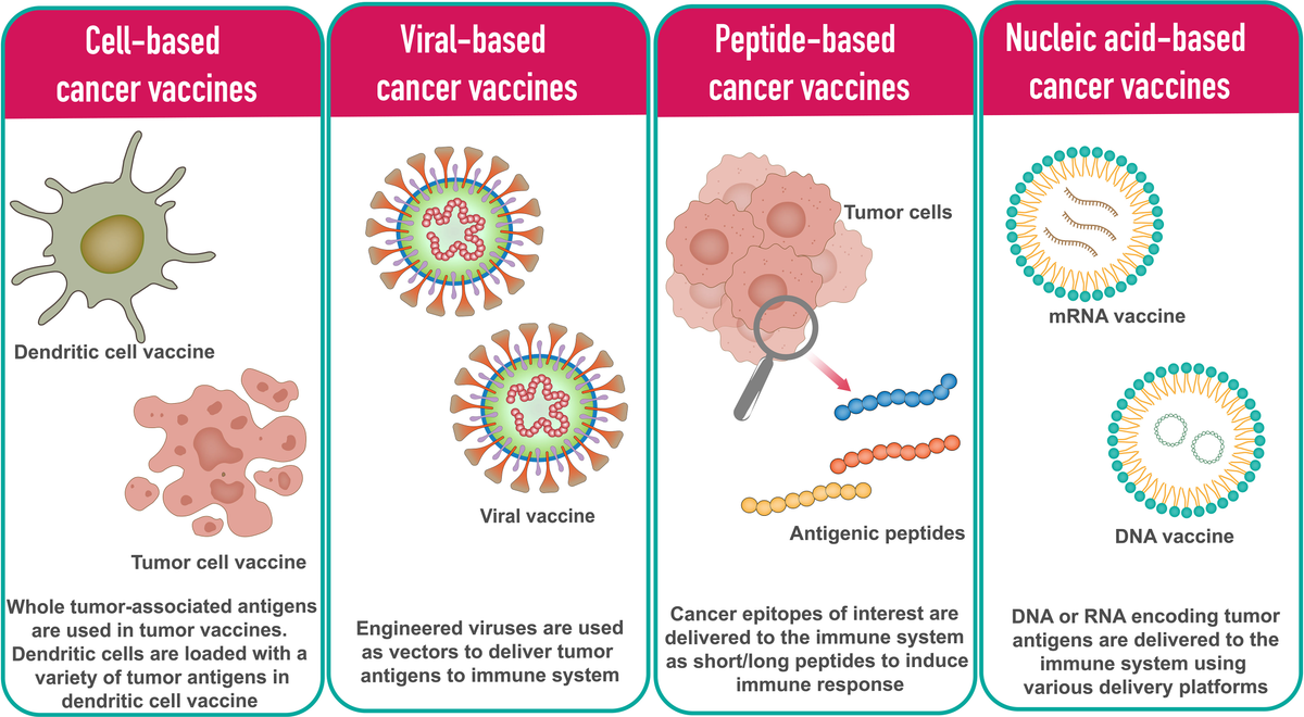 Frontiers | mRNA vaccines for cancer immunotherapy