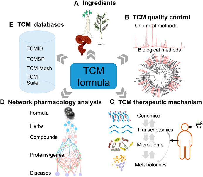 Frontiers | Multi-omics approaches for in-depth Frontiers | Multi-omics approaches for in-depth