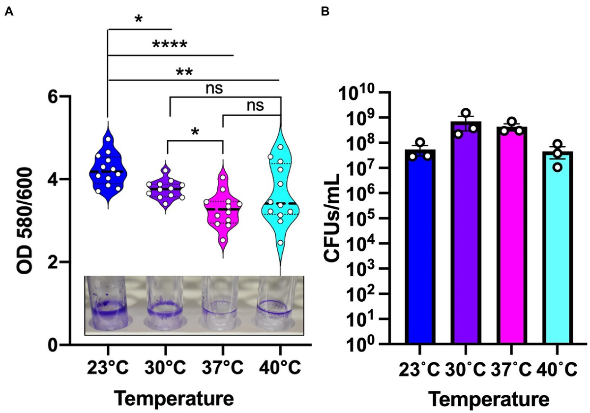 Frontiers Temperature specific adaptations and genetic requirements
