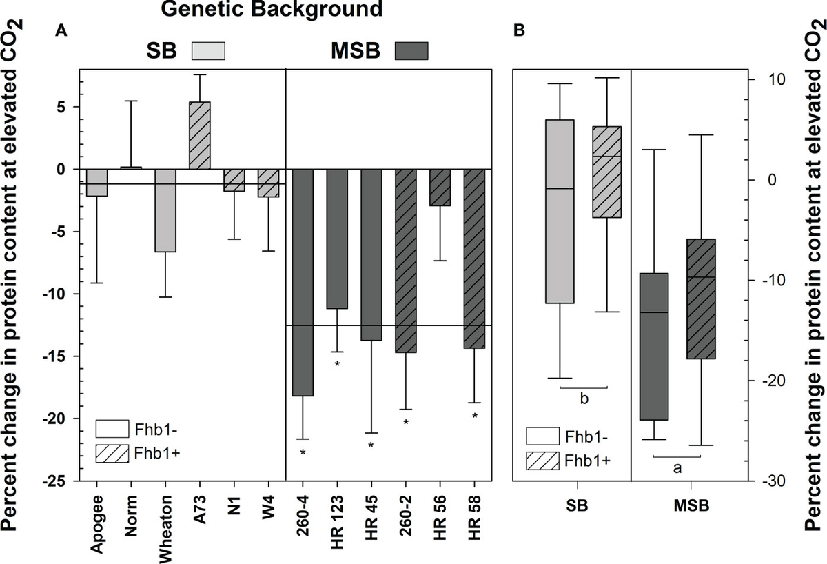 Frontiers | Fhb1 disease resistance QTL does not exacerbate