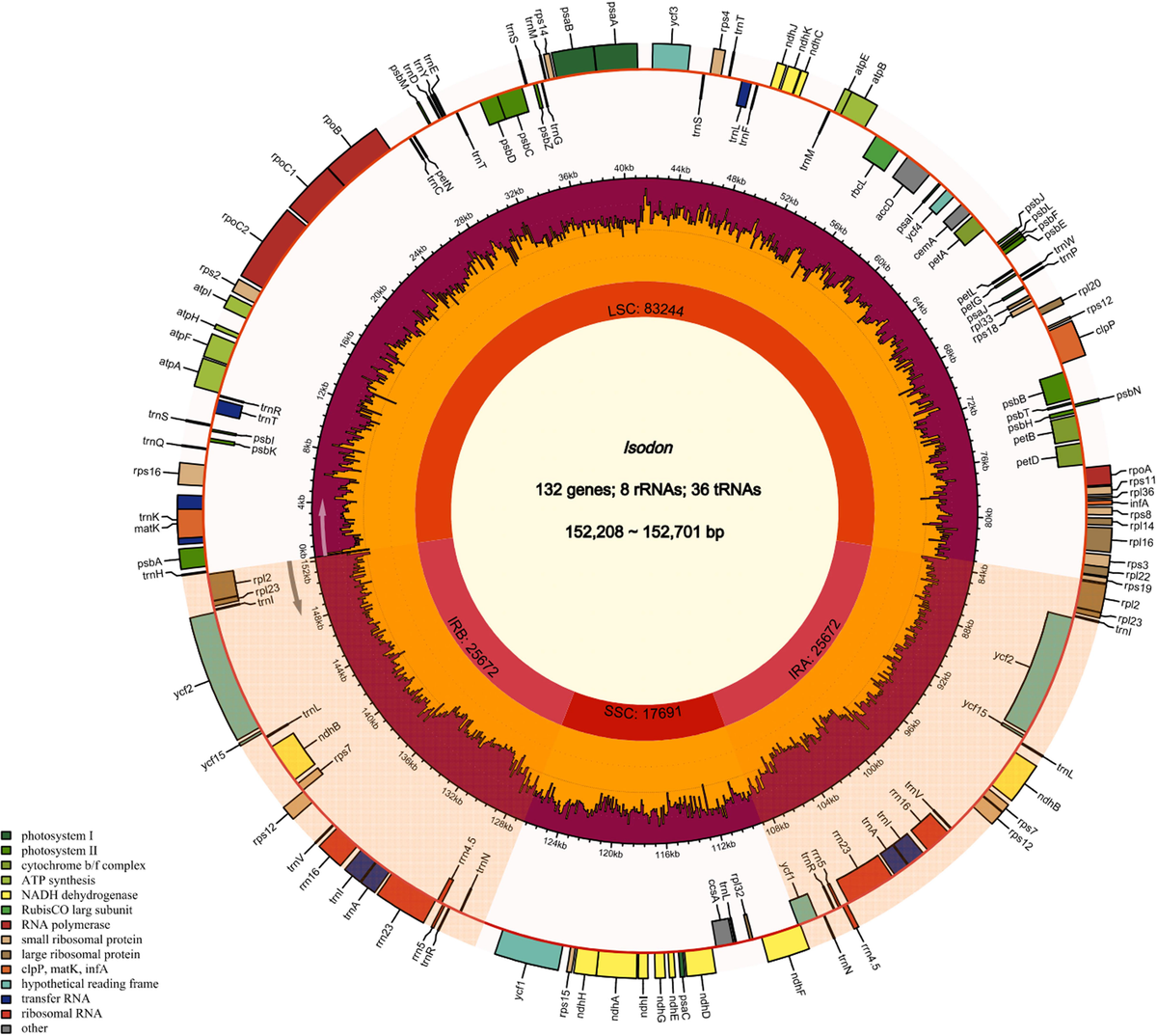 最新作 Frontiers Isodon plant medicinal of analysis Comparative | その他