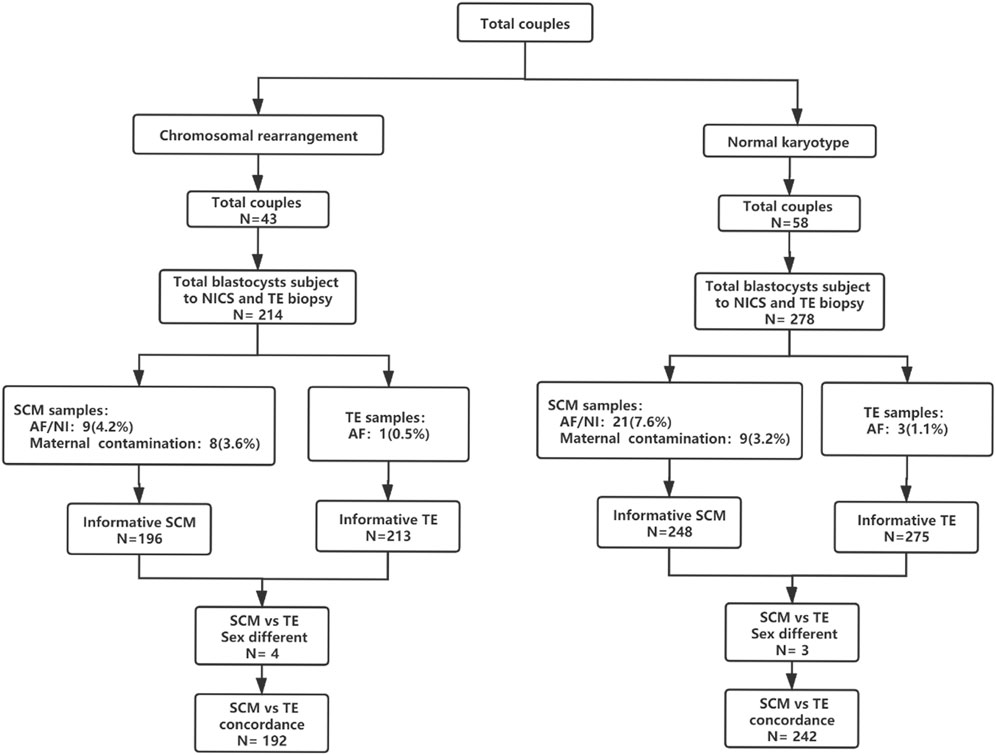 Frontiers | Effectiveness of non-invasive chromosomal