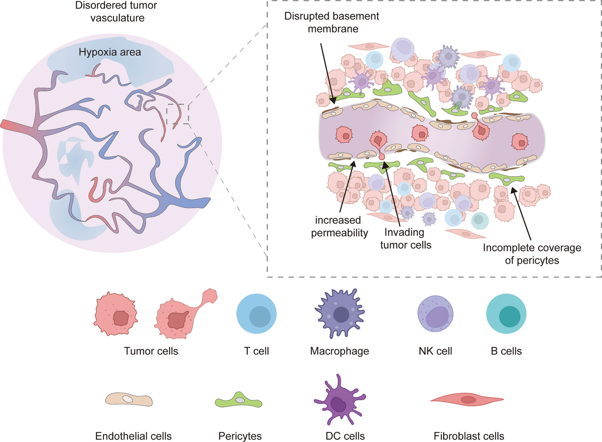 新品同様 Recent | Frontiers advances anti nanomaterial-based of その他