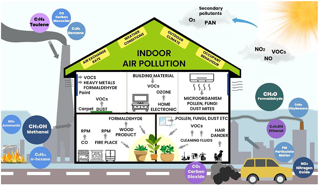 Frontiers | Phytoremediation potential of indoor plants in 