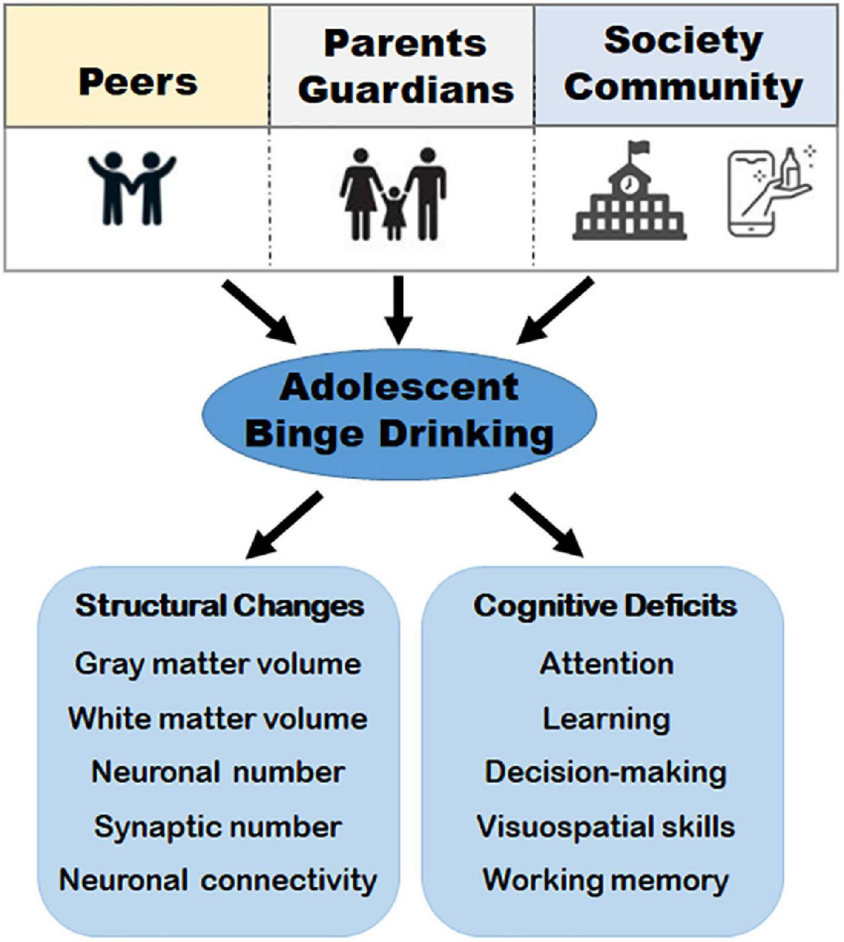 Cognitive changes during puberty outlet