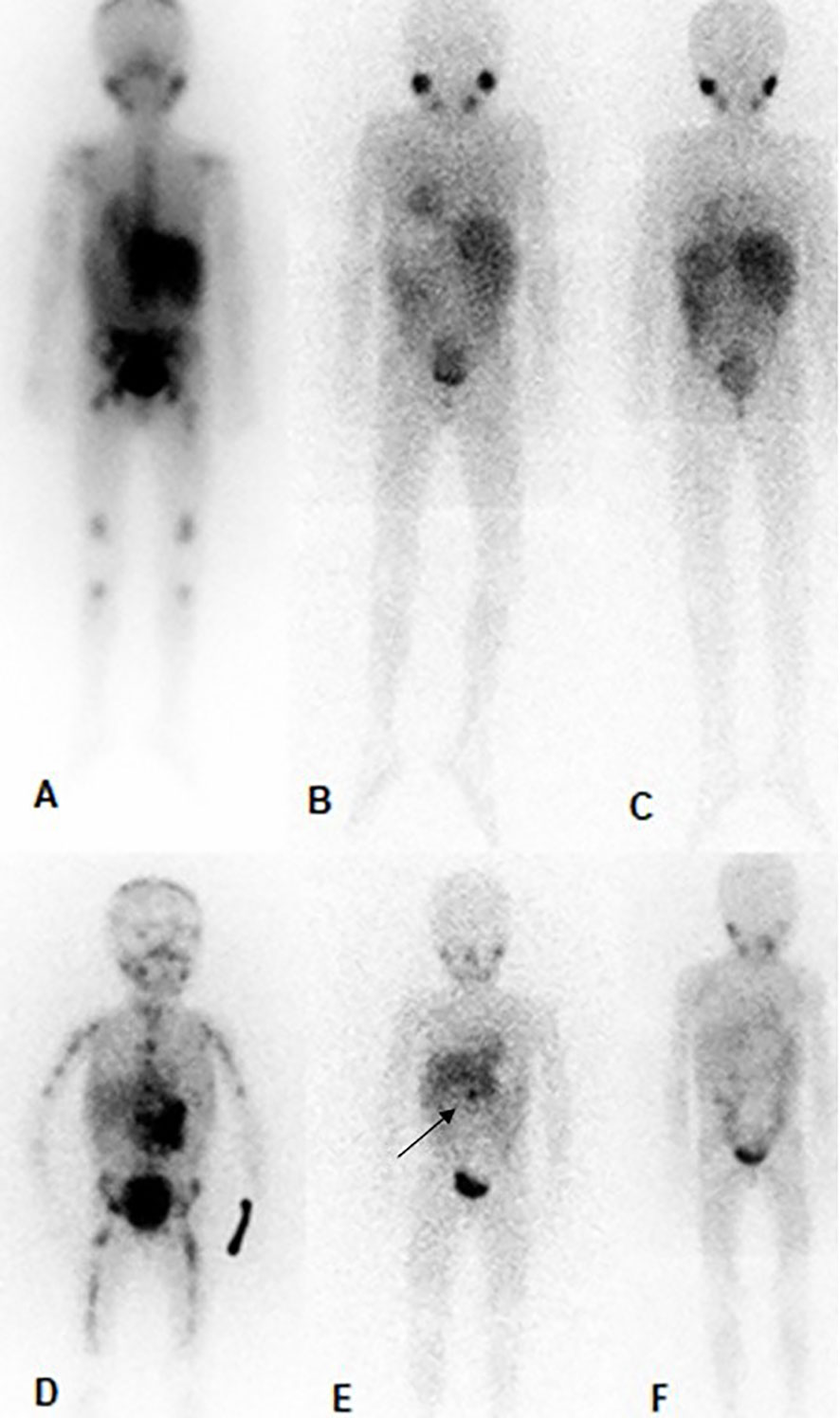 内科診断学 = MEDICAL DIAGNOSIS Amazon.com: 内科疾病鉴别诊断学（第7版）(中文版）Differential