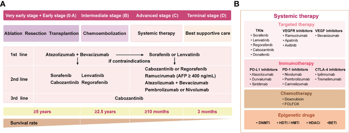 Frontiers | Epigenetic modification-related mechanisms of